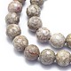Natürliche Muschel fossile Perlen Stränge G-K310-A07-10mm-3