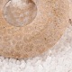 Donut/Pi Disc Natural Fossil Pendants G-F270-06F-2