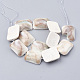 Shell Fossil Beads Strands G-T105-24-2
