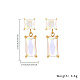 Cubic Zirconia Rectangle Dangle Stud Earrings CU4827-2-1