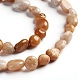 Fossiles naturelle perles de corail brins G-D0002-B36-3