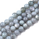 Eau douce naturelle de coquillage perles brins X-BSHE-T009A-01K-1