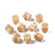 Perle trochid naturali / conchiglie trochus SSHEL-N003-145B-A02-2