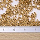 MIYUKI Delica Beads Small X-SEED-J020-DBS0181-4