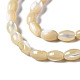 Fili di perle di conchiglia trochid naturale / trochus SSHEL-S266-021B-01-3