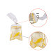 Goldfish Water Bag Resin Pendants DIY-SC0012-37-4