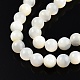Fili di perline di conchiglia bianco naturale SSHEL-N003-144E-01-3