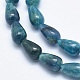 Natural Apatite Beads Strands G-K256-41A-3