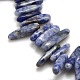 Natural Blue Spot Jasper Beads Strands G-P033-03-2