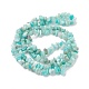 Natural Exotic Amazonite Chips Beads Strands F070-1-2