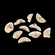 Натуральные спиральные бусы из ракушек SSHEL-R036-06
