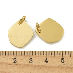 Pendentifs vierges en acier inoxydable 304&nbsp;STAS-L022-428G