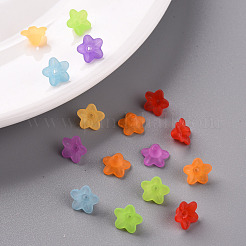 Perles en acrylique transparente&nbsp;PL554-M