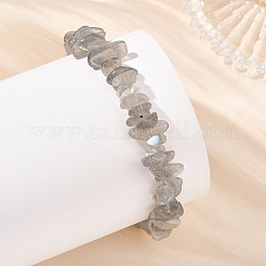 Natürliche Labradorit-Perlenarmbänder&nbsp;BJEW-JB14508