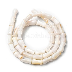 Naturali di acqua dolce perline shell fili&nbsp;SHEL-K006-08