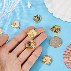 6 stücke 6 arten 304 edelstahl pflastern natürliche gemischte shell anhänger&nbsp;STAS-TA0005-42