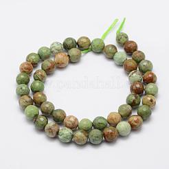 Natürlichen grünen Opal Perlen Stränge&nbsp;G-K209-05A-6mm