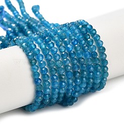 Chapelets de perles en apatite naturelle&nbsp;G-Z106-A01-3mm