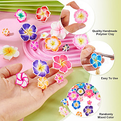 50pcs 5 Arten handgemachte Polymerton 3d Blume Plumeriaperlen&nbsp;CLAY-TA0001-68