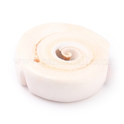 Natürliche Spirale Shell Anhänger&nbsp;BSHE-B003-11