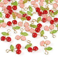 30pcs 2 Farben Glasanhänger&nbsp;PALLOY-TAC0208
