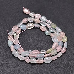 Natur morganite Chip-Perlen-Stränge&nbsp;G-E271-130