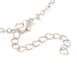 Conjuntos de collares pendientes de corazón de aleación de chapado en rack&nbsp;NJEW-B081-08C