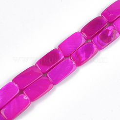 Perles de coquille d'eau douce peintes&nbsp;SHEL-T010-04