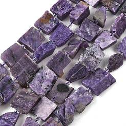 Naturperlen Stränge charoite&nbsp;G-D101-B17