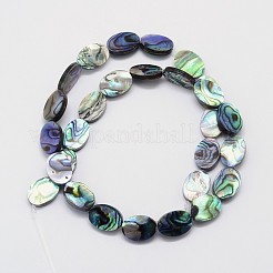 Natur Paua Muschel Perlen Stränge&nbsp;SSHEL-J047-14B-01