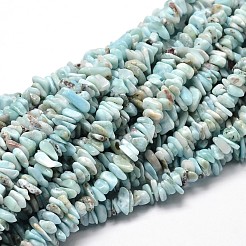 Chip natürliche larimar Perlenstränge&nbsp;G-M349-09