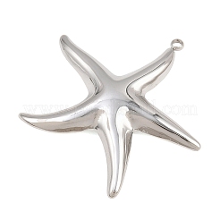 Colgantes de acero inoxidable 304&nbsp;LS-SA-CBA6E67-11P