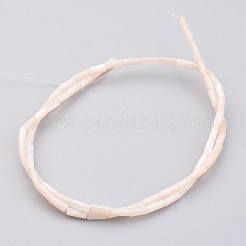 Conchiglia naturale fili di perle&nbsp;BSHE-P017-02