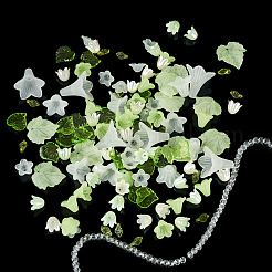 Kits de fabrication de bijoux diy&nbsp;DIY-TA0014-75