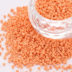 GlasZylinderförmigperlen&nbsp;SEED-S047-A-029