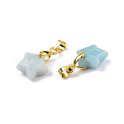 Natürliche Amazonit-Anhänger / charms&nbsp;G-N326-142-08