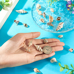 18 pendentif en coquillage naturel galvanisé&nbsp;BSHE-TA0001-35