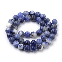 Cordes de perles de sodalite Afrique du Sud naturel&nbsp;X-G-S259-35-10mm