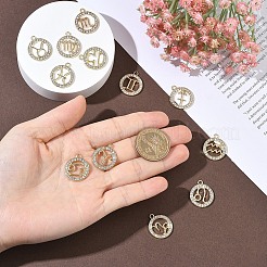 12 Stück 12 Stile Zinklegierung Kristall Strass Anhänger&nbsp;FIND-YW0010-43