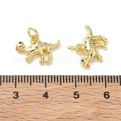 Latón micro pavimenta claro cubic zirconia encantos&nbsp;KK-T085-21C-G