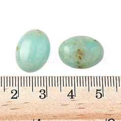 Natürlicher afrikanischer Türkis (Jaspis) Cabochons&nbsp;X-G-S398-02C