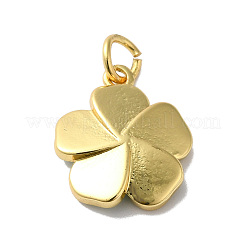 Colgantes de esmalte de latón chapado en rack&nbsp;KK-O142-56G-03