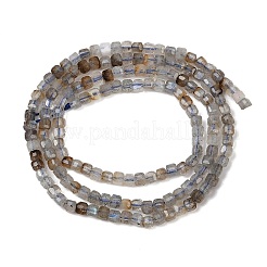 Perline labradorite naturale fili&nbsp;G-RM2025-C34-A