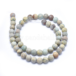 Natürliche Aqua Terra Jaspis Perlen Stränge&nbsp;G-N0128-48F-8mm