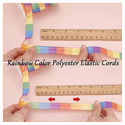 Cordones elásticos de poliéster de 20 m en colores del arcoíris&nbsp;SRIB-GA0001-13