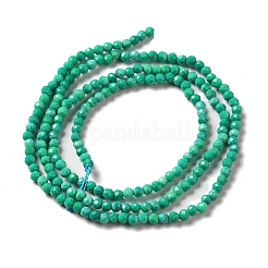 Fili di perline howlite naturale&nbsp;G-C025-02A-02