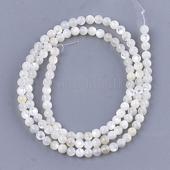 Cuentas de concha natural de blanco&nbsp;SHEL-T012-49B