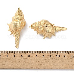 Galvanisierte große Anhänger aus natürlicher Muschelschale&nbsp;X-SSHEL-B002-01G-02