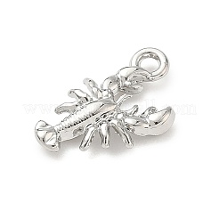 Aluminium Anhänger & Charms&nbsp;FIND-Z101-04P-01