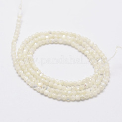 Natürlichen weißen Muschelperlen&nbsp;G-N0190-11-2mm
